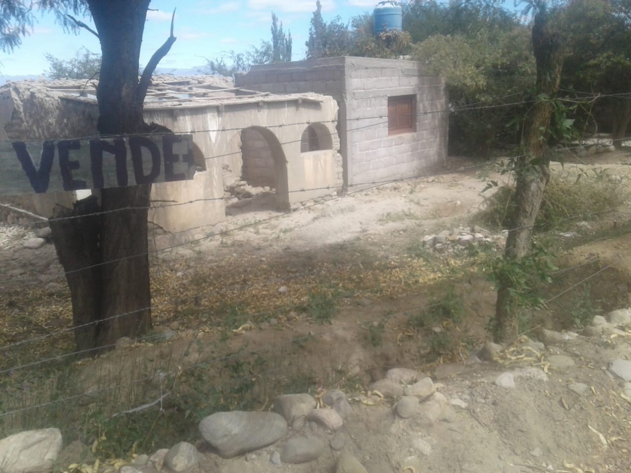 VENTA TERRENO EN AMAICHA 3220M2
