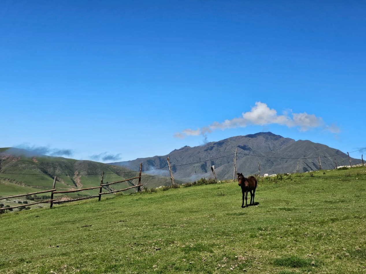 TERRENO EN VENTA 1.030 M2 TAFI DEL VALLE, LAS CARRERAS