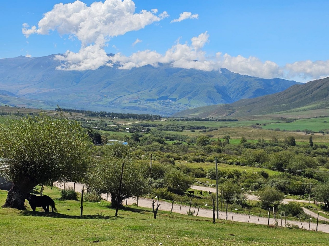 TERRENO EN VENTA 1.030 M2 TAFI DEL VALLE, LAS CARRERAS