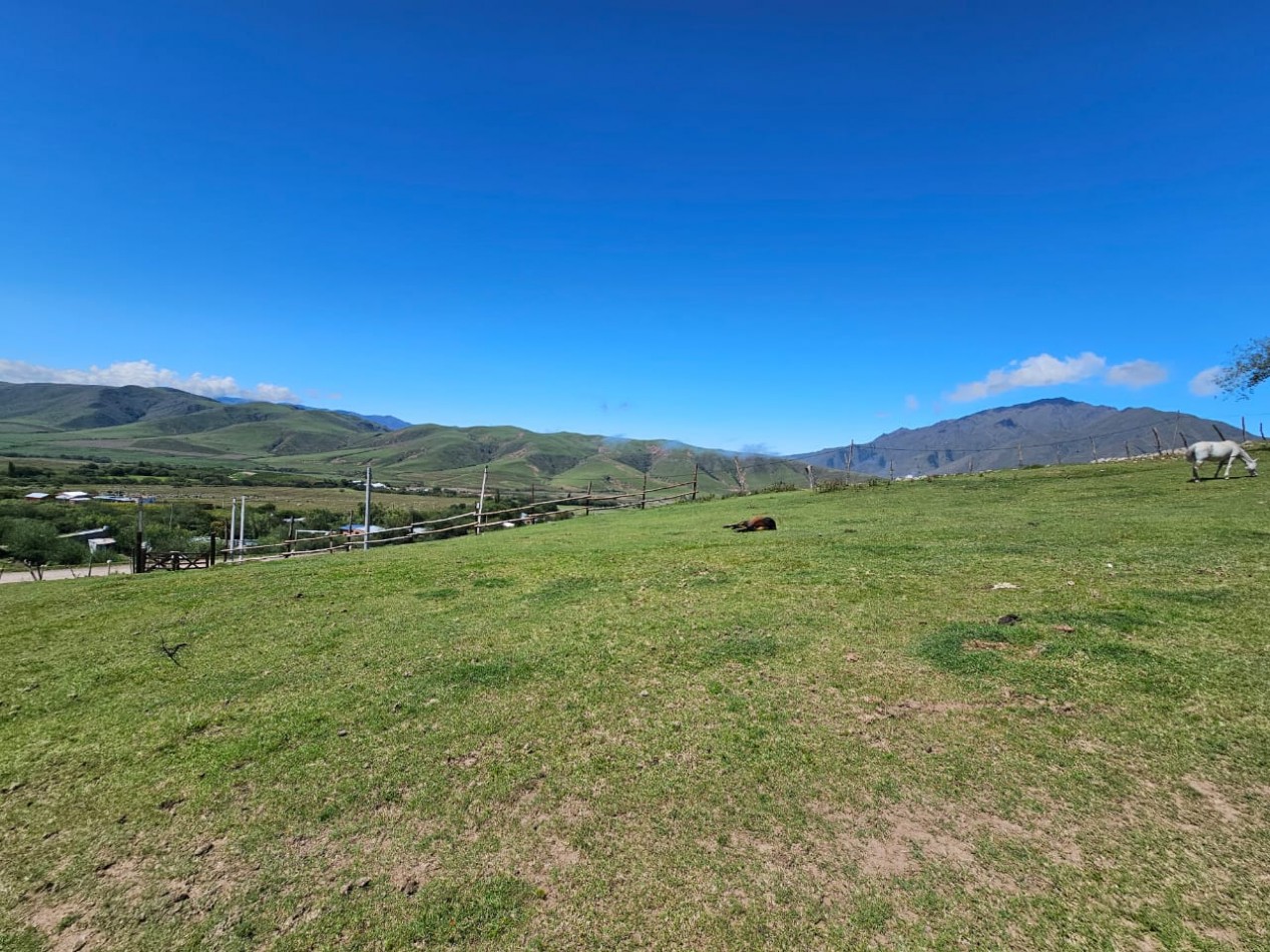 TERRENO EN VENTA 1.030 M2 TAFI DEL VALLE, LAS CARRERAS