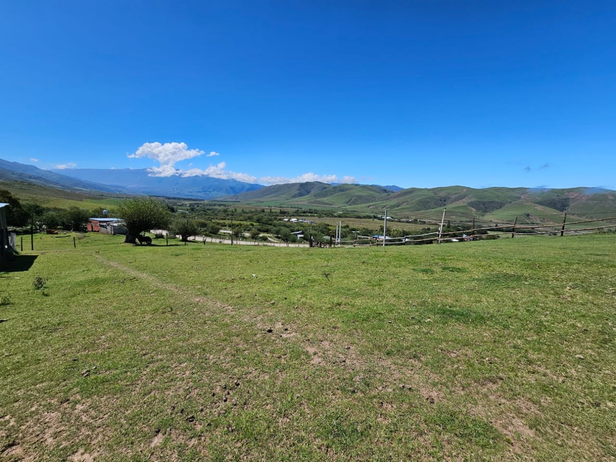TERRENO EN VENTA 1.030 M2 TAFI DEL VALLE, LAS CARRERAS