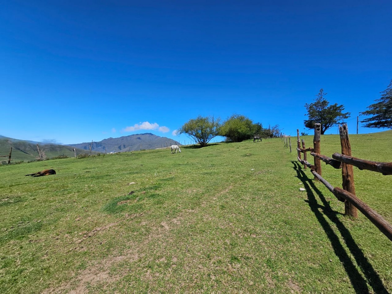 TERRENO EN VENTA 1.030 M2 TAFI DEL VALLE, LAS CARRERAS