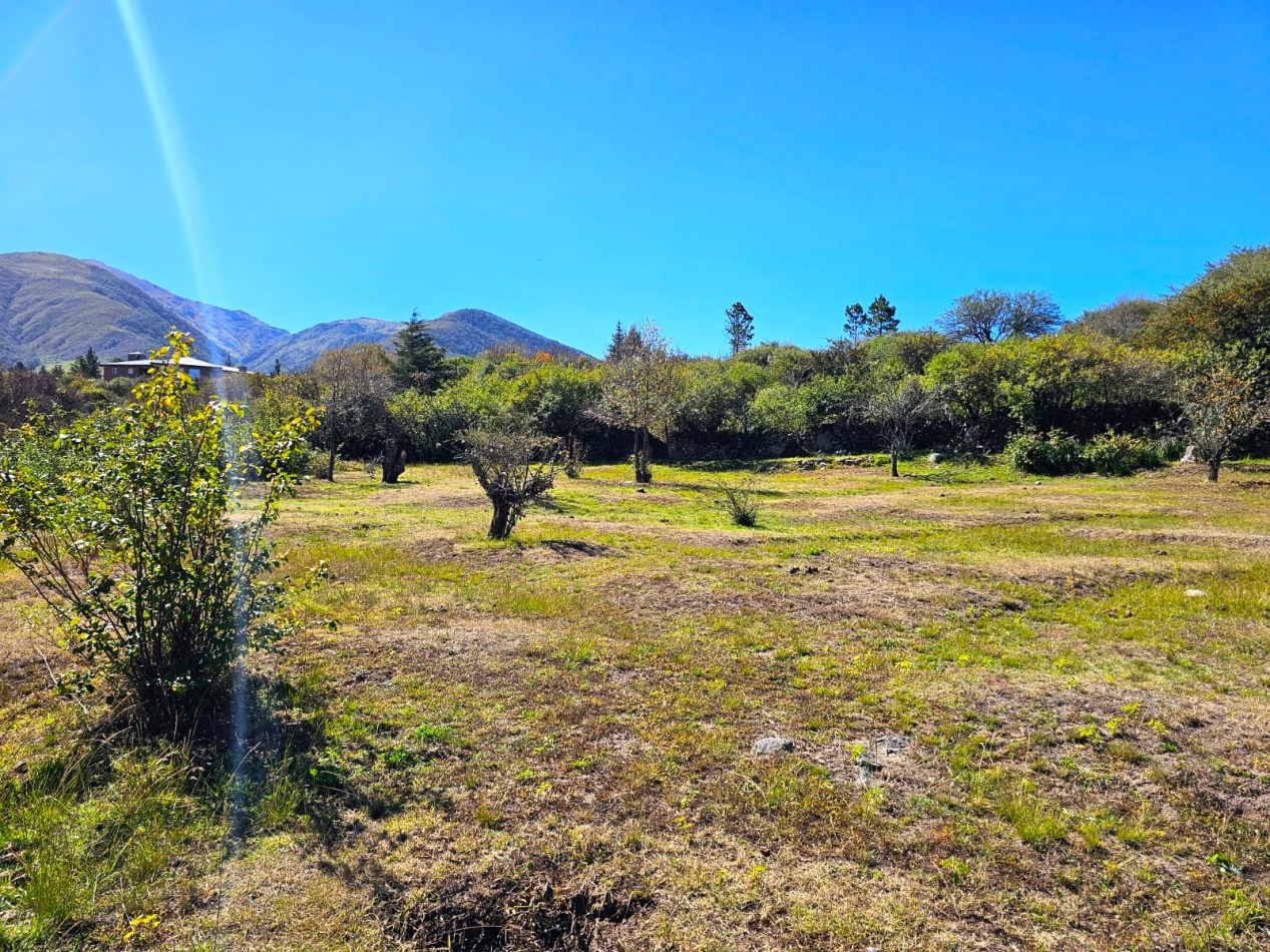 TERRENO 2.744 M2 CON CASA ANTIGUA ZONA LAS TACANAS, a 1 KM DEL CENTRO TAFI DEL VALLE