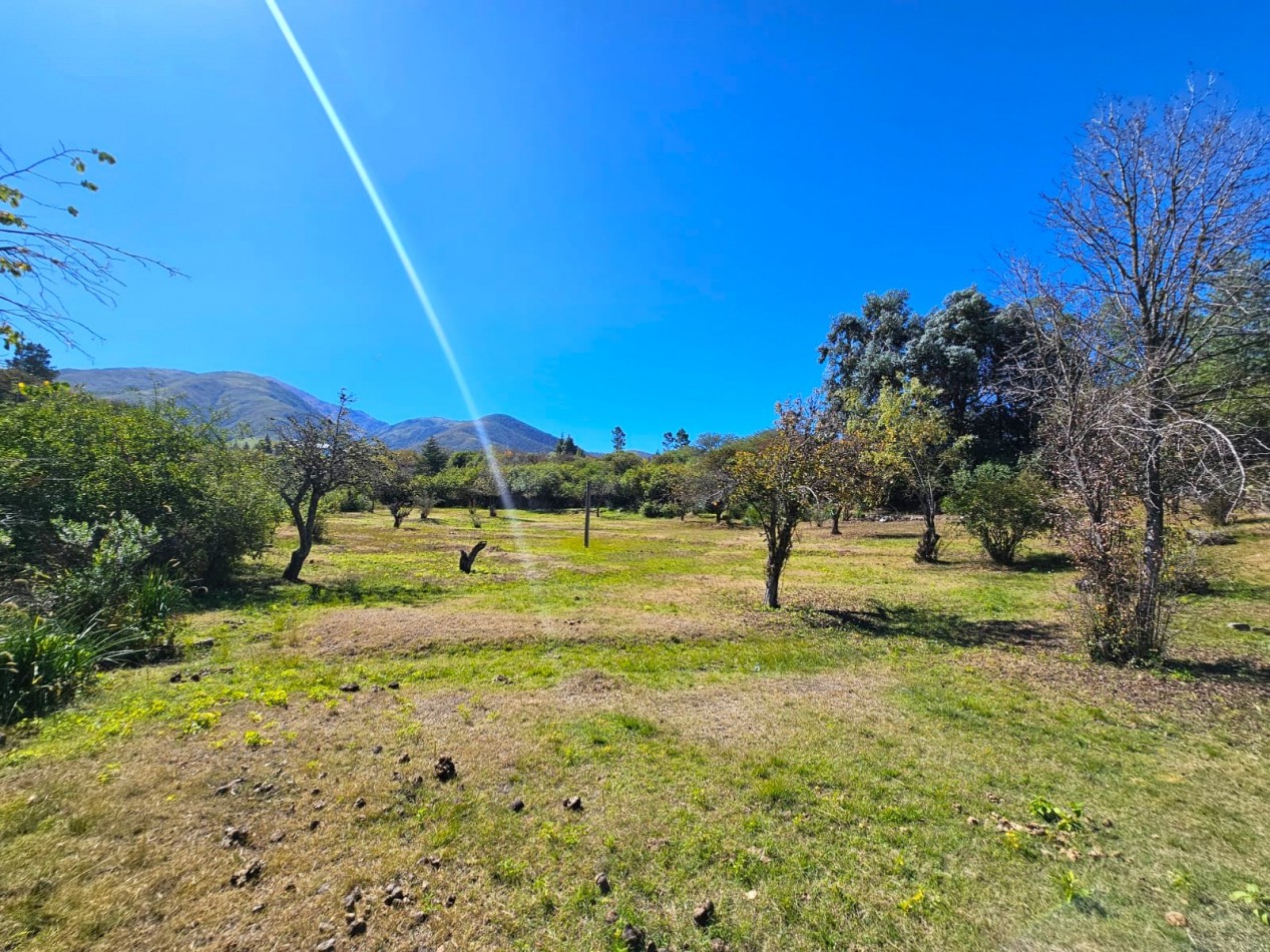 TERRENO 2.744 M2 CON CASA ANTIGUA ZONA LAS TACANAS, a 1 KM DEL CENTRO TAFI DEL VALLE