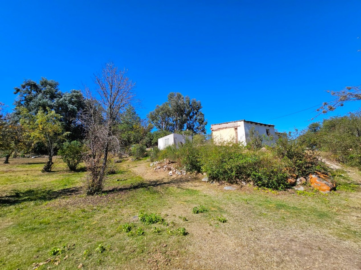 TERRENO 2.744 M2 CON CASA ANTIGUA ZONA LAS TACANAS, a 1 KM DEL CENTRO TAFI DEL VALLE