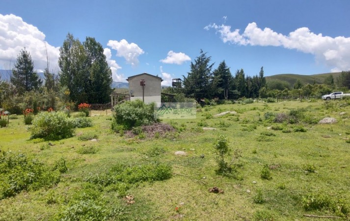 VENTA TERRENO 1000 M2 TAFI DEL VALLE LA OVEJERIA