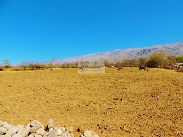 Lote En Venta De 1.040 m2 Ubicado En Tafi Del Valle