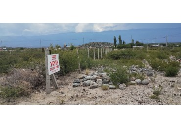 VENTA TERRENO 750 M2 AMAICHA DEL VALLE ZONA LOS ZAZOS